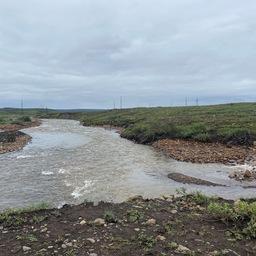 Норильские водоемы проверяют на последствия нефтеразлива