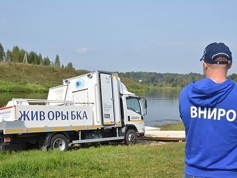 Осенние зарыбления идут по графику