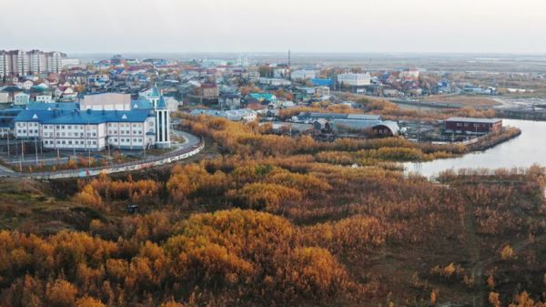 В ЯНАО пройдут экологические акции «Сохраним лес» и «Сад памяти»