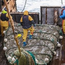 В налоговых поправках увидели новые возможности для регионов