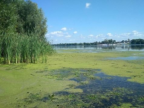 Мужчина утонул во время охоты