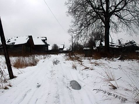 Участились случаи выхода медведей в населенные пункты Карелии 